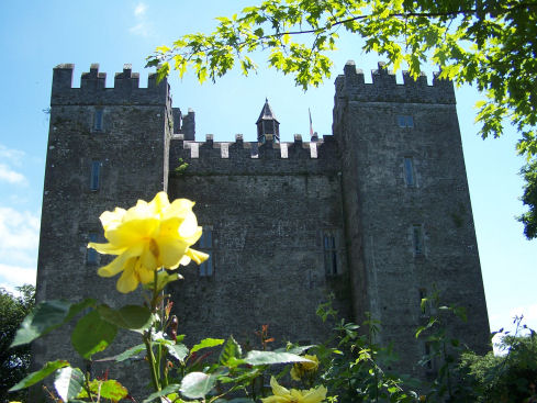 Irish Castle