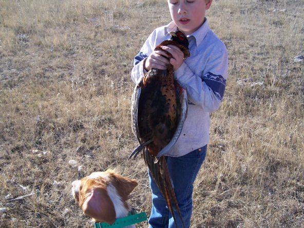 Wrangler and a pheasant