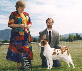 Tab's Lupine of Shafer Farm