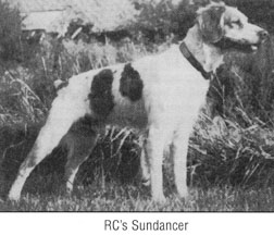 RC's Sundancer