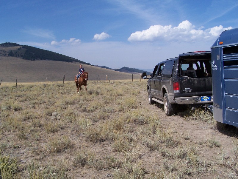 Sari on Sheba out sage grouse hunting