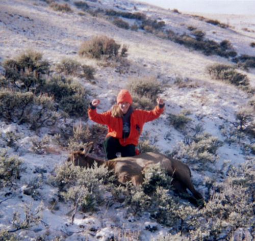 Sari's 2008 elk