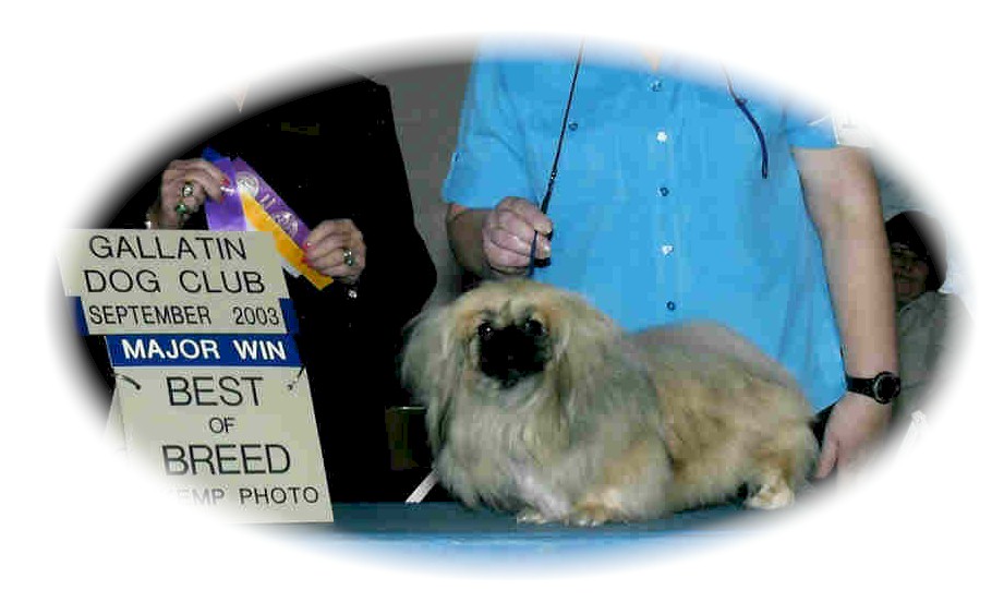 Kismet Best Of Breed